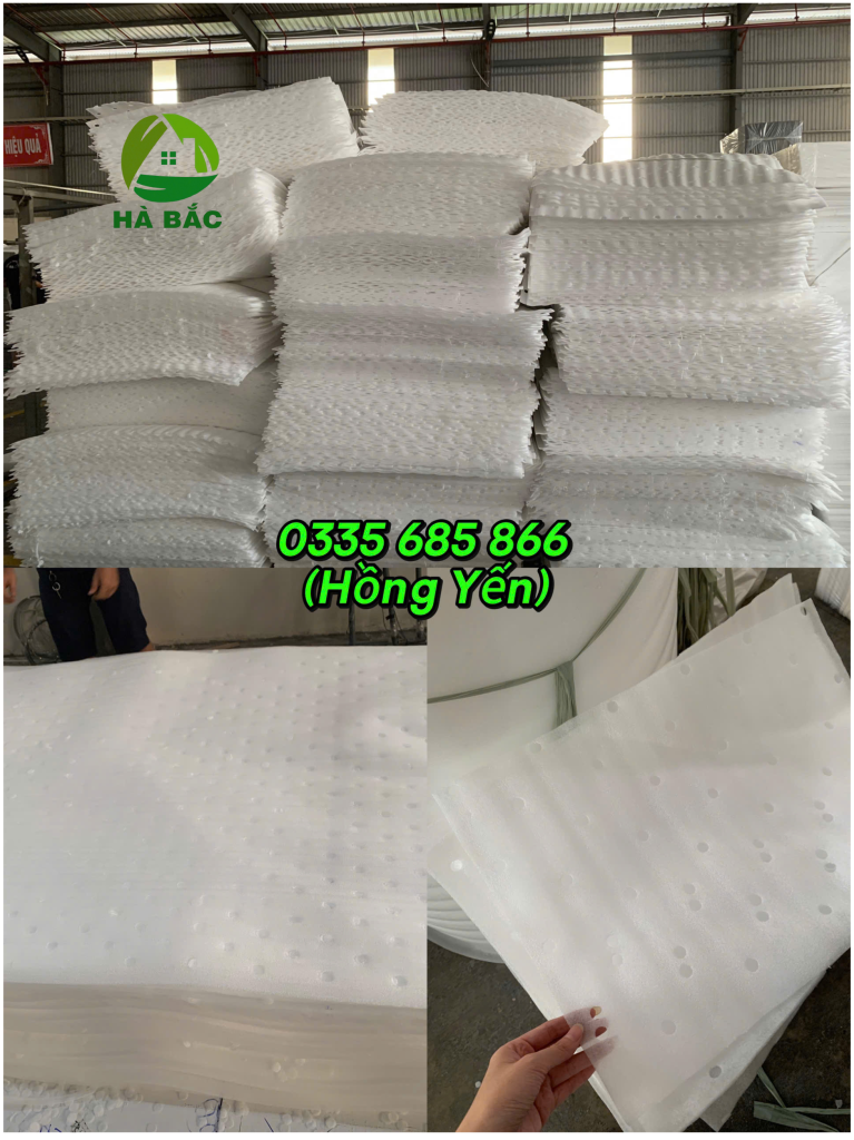 Tấm Xốp Đục Lỗ Lót Chuối – Giải Pháp Đóng Gói Chuối An Toàn, Hiệu Quả