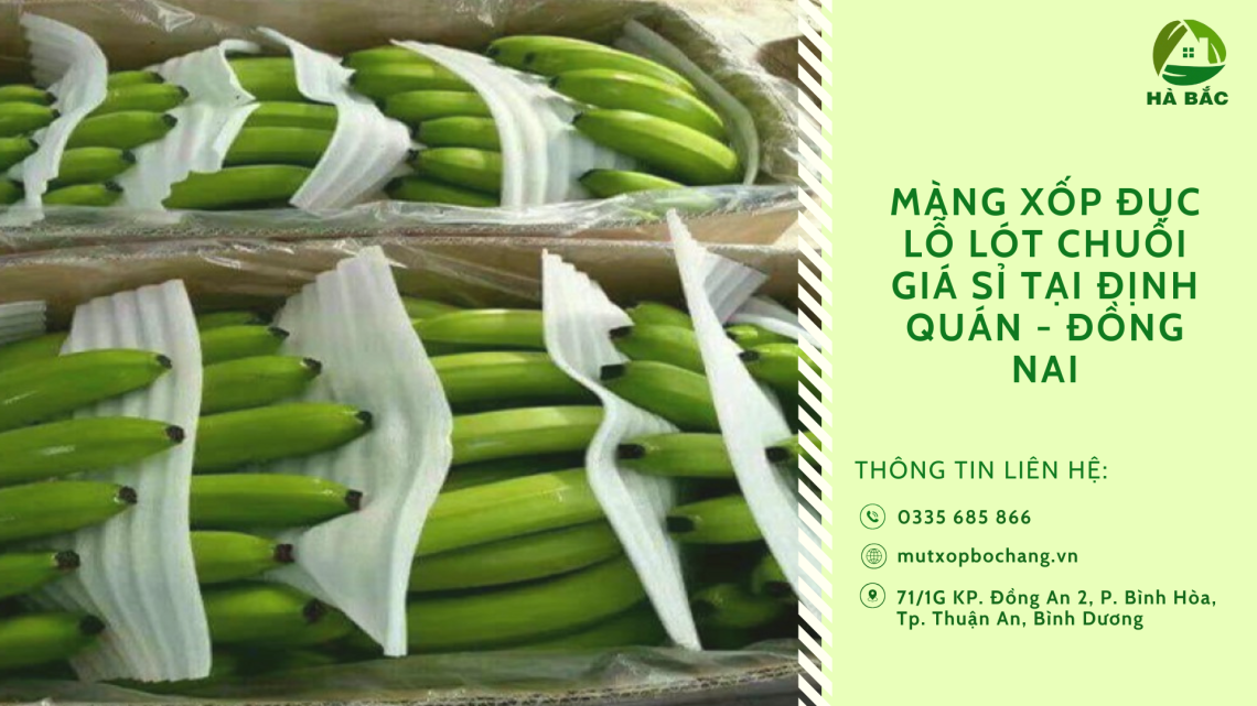 Màng xốp đục lỗ lót chuối giá sỉ tại Định Quán - Đồng Nai