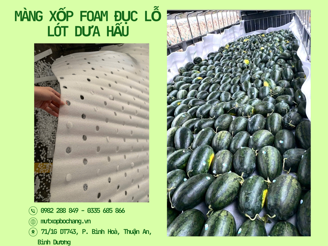 Màng xốp đục lỗ lót dưa hấu giá sỉ tại Long An