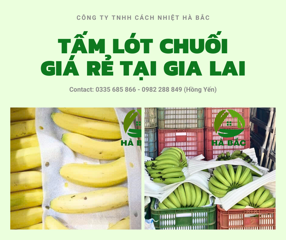 Tấm Xốp Đục Lỗ Lót Chuối Xuất Khẩu – Giải Pháp Đóng Gói Chuối An Toàn, Hiệu Quả