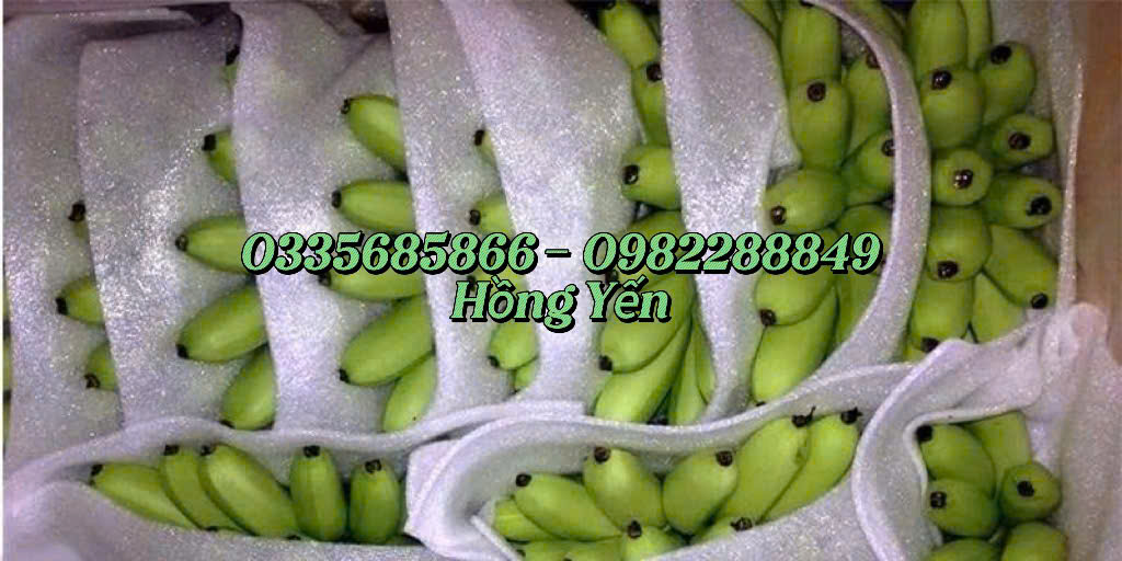 Màng xốp PE Foam 5mm Giá Rẻ Tại Bình Chánh