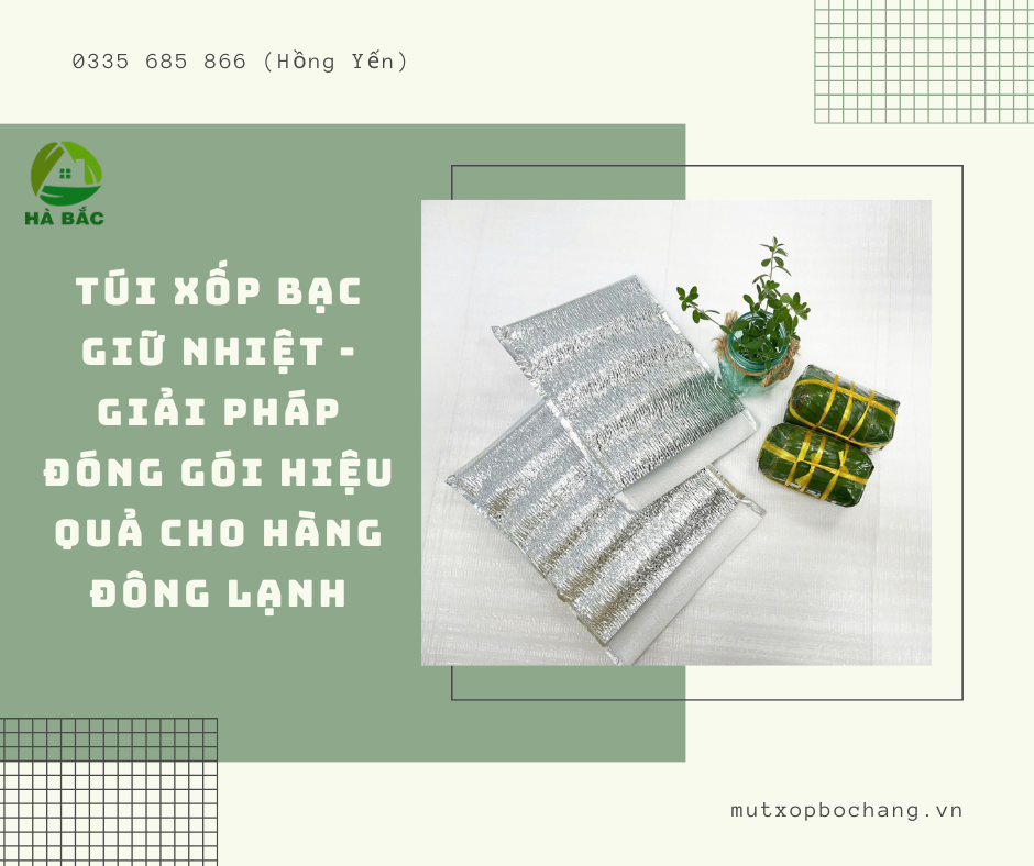 Túi xốp bạc đóng gói hàng đông lạnh tại Phú Yên