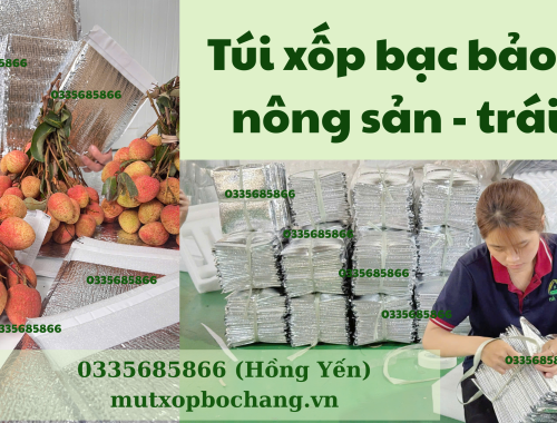 tui-xop-bac-bao-quan-nong-san