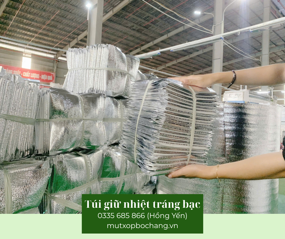 tui-giu-nhiet-trang-bac