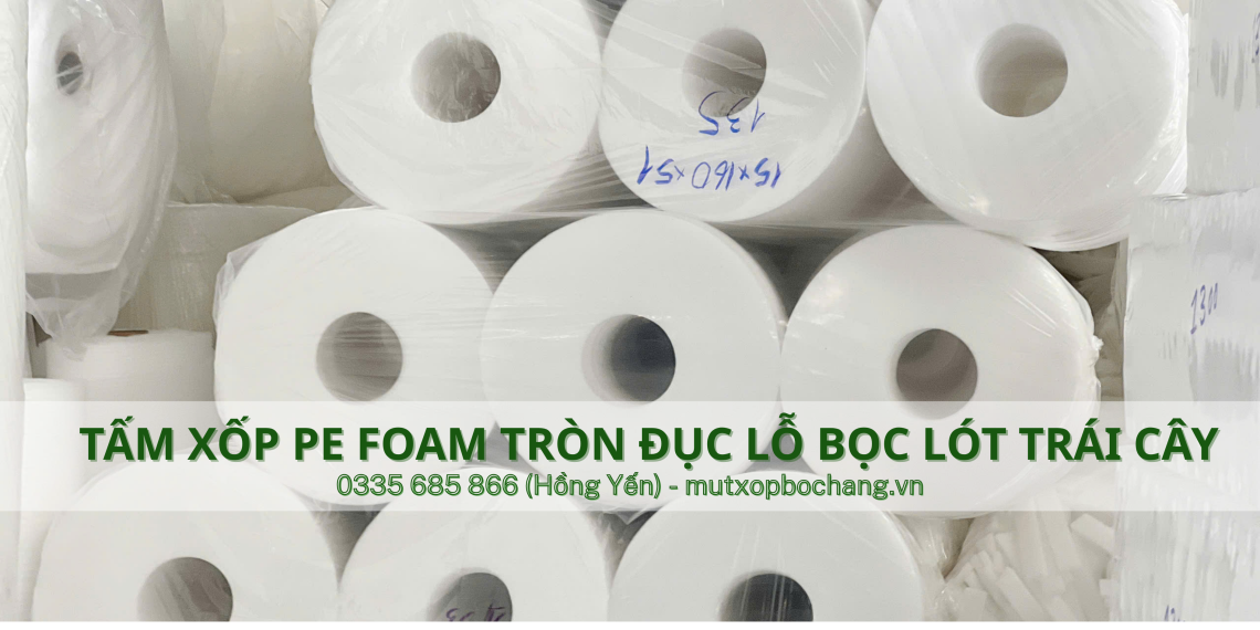 Tấm xốp PE Foam tròn đục lỗ