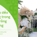 Tấm xốp dẻo 9cm