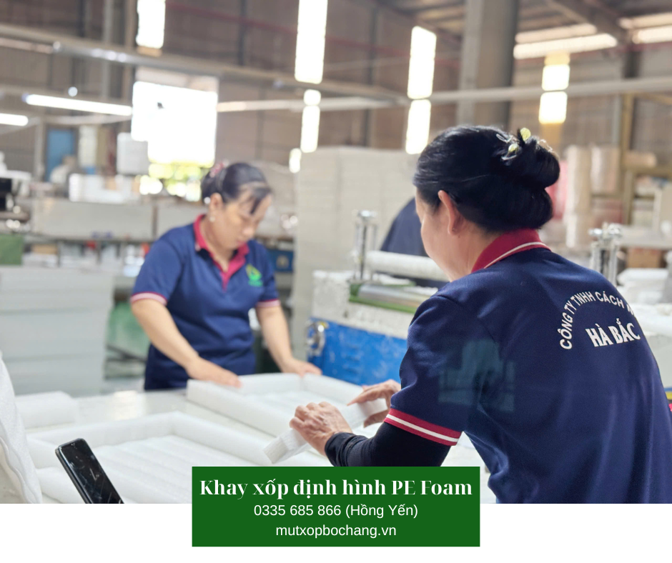 Khay xốp định hình PE Foam