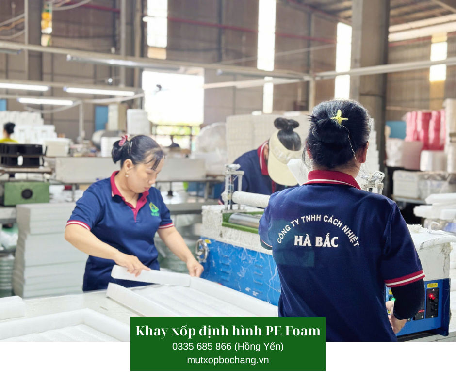 Khay xốp định hình PE Foam