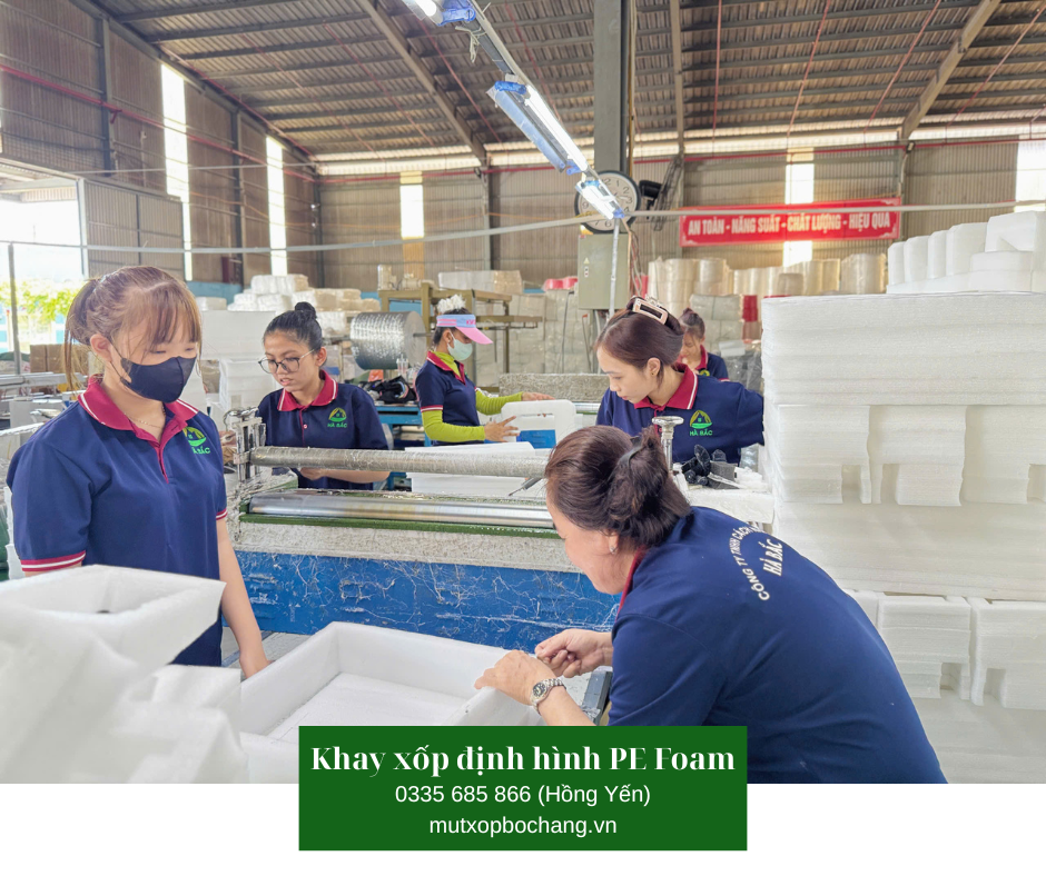 Khay xốp định hình PE Foam
