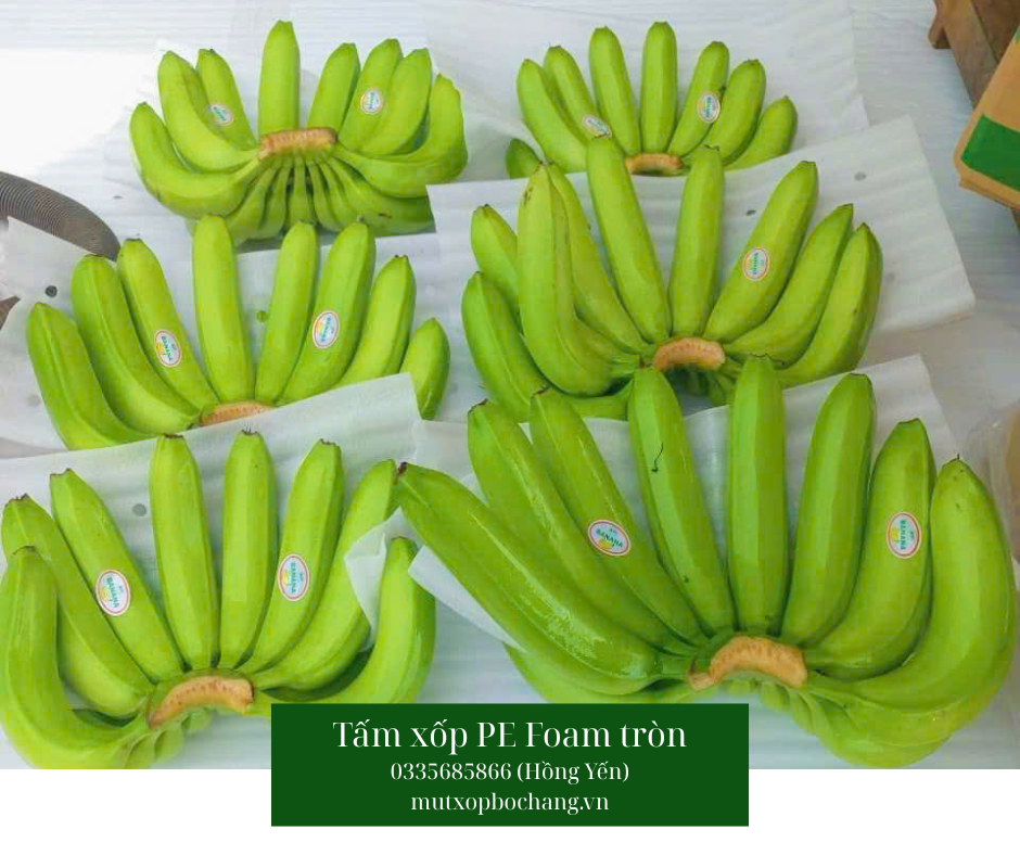 Tấm xốp PE Foam tròn đục lỗ