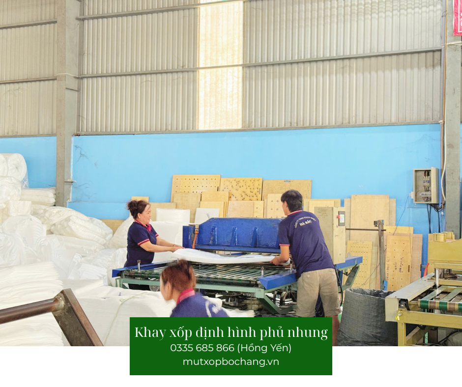 Khay xốp định hình phủ nhung